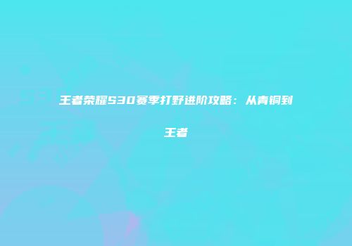 王者荣耀S30赛季打野进阶攻略：从青铜到王者
