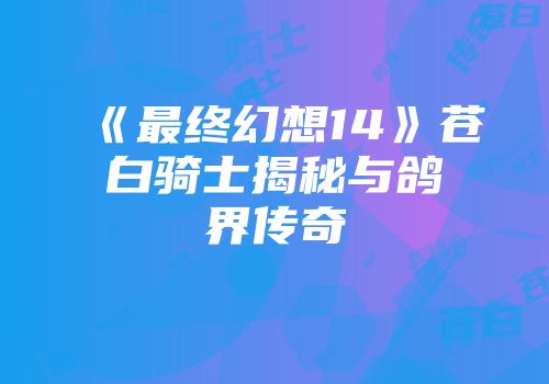 《最终幻想14》苍白骑士揭秘与鸽界传奇