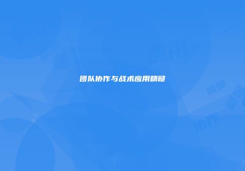 团队协作与战术应用精髓