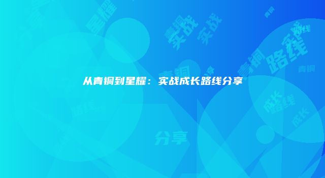 从青铜到星耀：实战成长路线分享