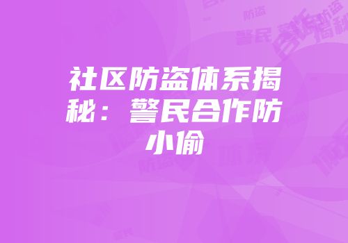 社区防盗体系揭秘:警民合作防小偷