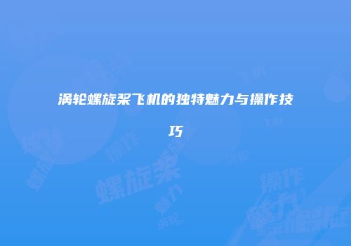 涡轮螺旋桨飞机的独特魅力与操作技巧