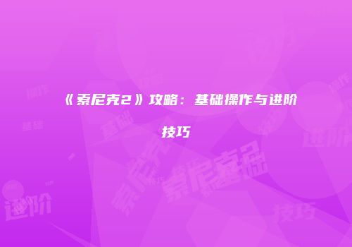 《索尼克2》攻略:基础操作与进阶技巧