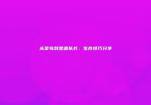 从菜鸟到靠谱队长：生存技巧分享