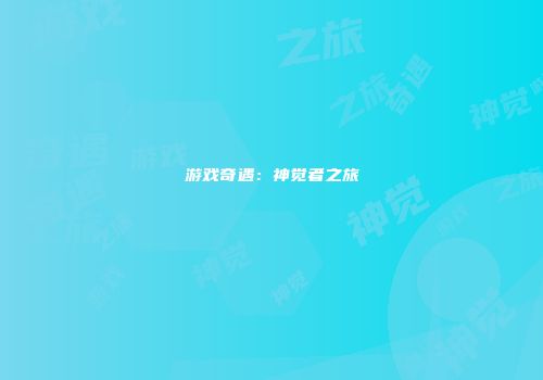 游戏奇遇：神觉者之旅