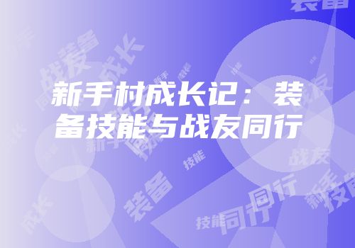 新手村成长记：装备技能与战友同行