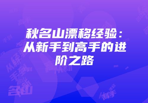 秋名山漂移经验:从新手到高手的进阶之路