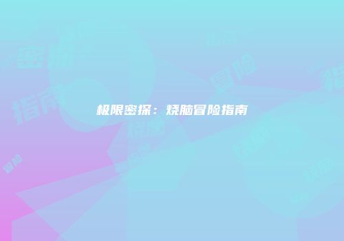 极限密探：烧脑冒险指南