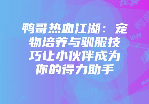 鸭哥热血江湖：宠物培养与驯服技巧让小伙伴成为你的得力助手