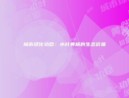 城市绿化功臣：小叶黄杨的生态价值