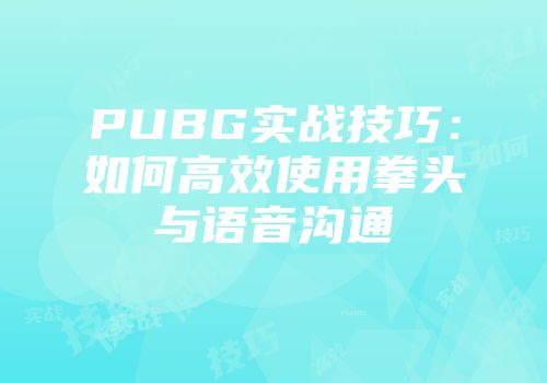 PUBG实战技巧:如何高效使用拳头与语音沟通