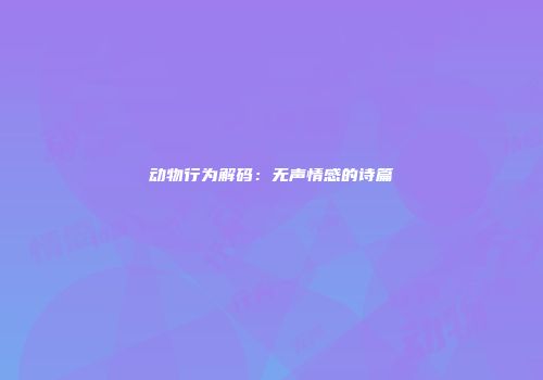 动物行为解码：无声情感的诗篇