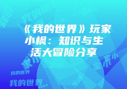 《我的世界》玩家小枫:知识与生活大冒险分享