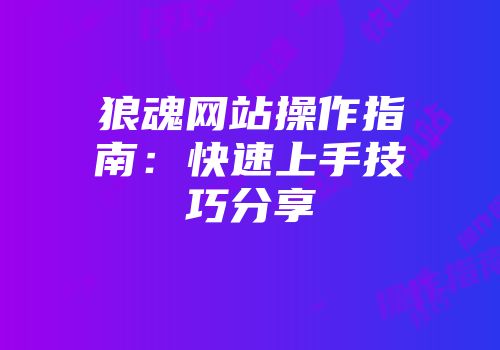 狼魂网站操作指南：快速上手技巧分享