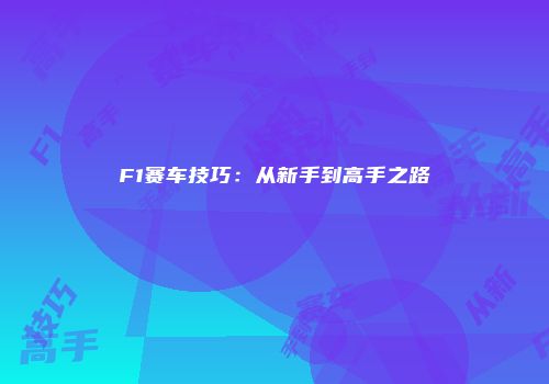 F1赛车技巧:从新手到高手之路