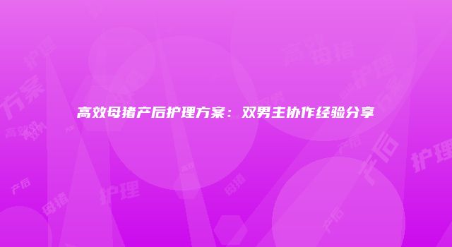 高效母猪产后护理方案：双男主协作经验分享