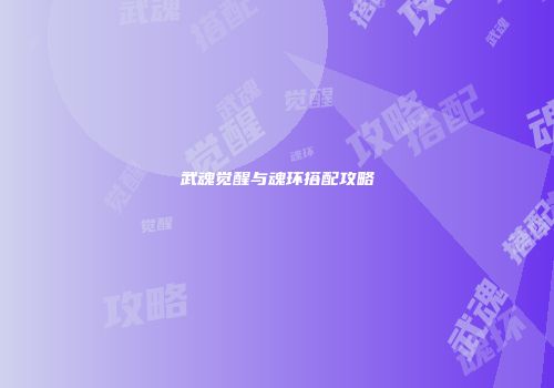 武魂觉醒与魂环搭配攻略