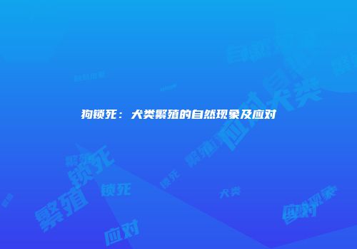 狗锁死：犬类繁殖的自然现象及应对