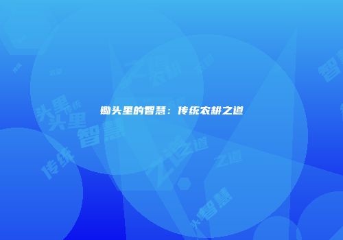 锄头里的智慧：传统农耕之道