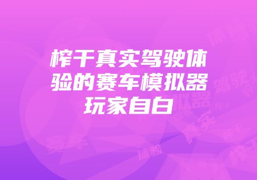 榨干真实驾驶体验的赛车模拟器玩家自白