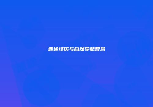解谜游戏秘籍：从睁眼瞎到高阶玩家