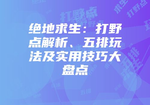 绝地求生：打野点解析、五排玩法及实用技巧大盘点