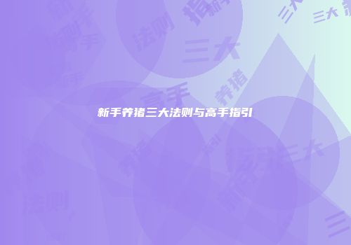 新手养猪三大法则与高手指引