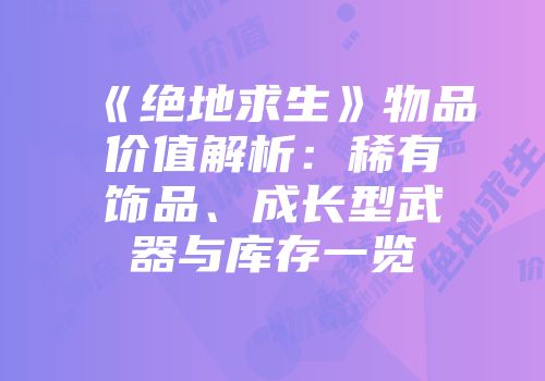 《绝地求生》物品价值解析：稀有饰品、成长型武器与库存一览