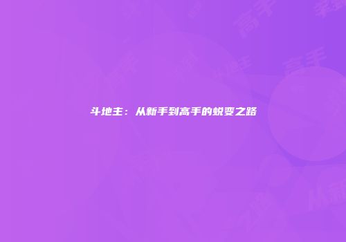 斗地主：从新手到高手的蜕变之路