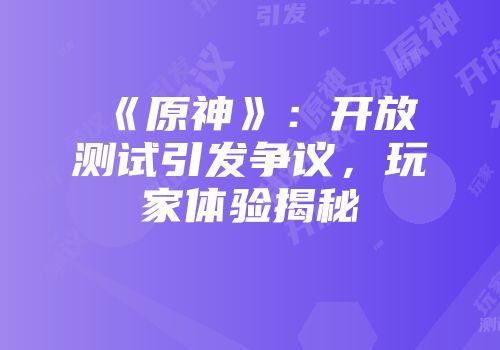 《原神》：开放测试引发争议，玩家体验揭秘
