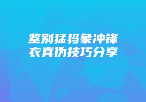 鉴别猛犸象冲锋衣真伪技巧分享
