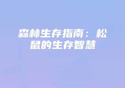 森林生存指南：松鼠的生存智慧