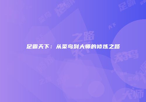 足霸天下：从菜鸟到大师的修炼之路
