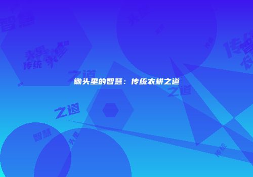 锄头里的智慧：传统农耕之道