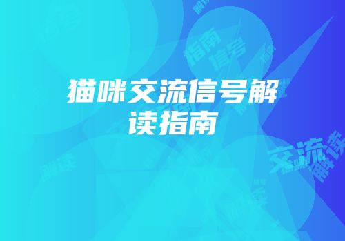 猫咪交流信号解读指南