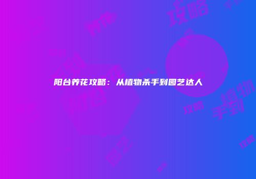 阳台养花攻略:从植物杀手到园艺达人