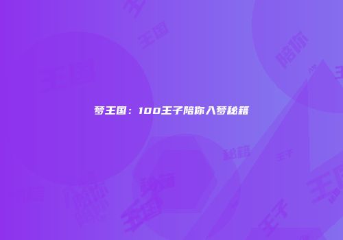 梦王国：100王子陪你入梦秘籍