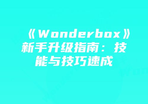 《Wonderbox》新手升级指南:技能与技巧速成