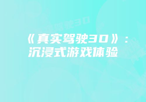 《真实驾驶3D》：沉浸式游戏体验