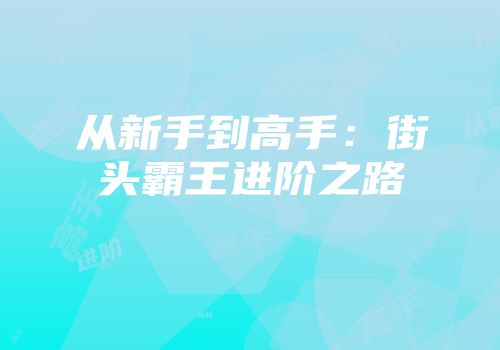 从新手到高手：街头霸王进阶之路