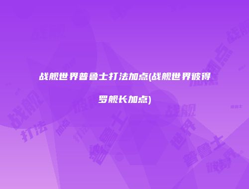 战舰世界普鲁士打法加点(战舰世界彼得罗舰长加点)