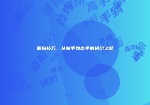 遛狗技巧：从新手到高手的进阶之路