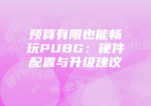 预算有限也能畅玩PUBG：硬件配置与升级建议