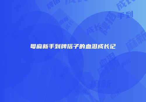粤麻新手到牌搭子的血泪成长记