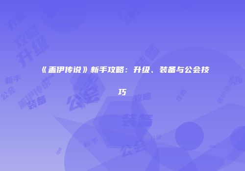 《盖伊传说》新手攻略：升级、装备与公会技巧