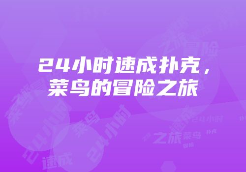 24小时速成扑克，菜鸟的冒险之旅