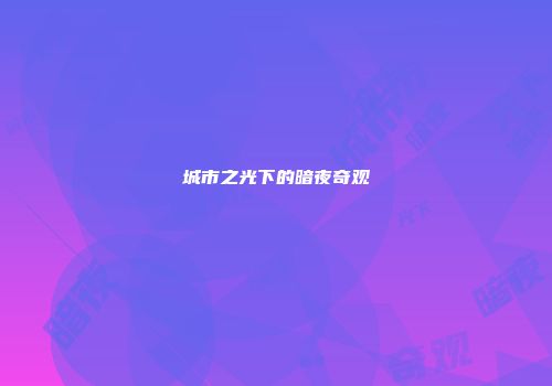 城市之光下的暗夜奇观