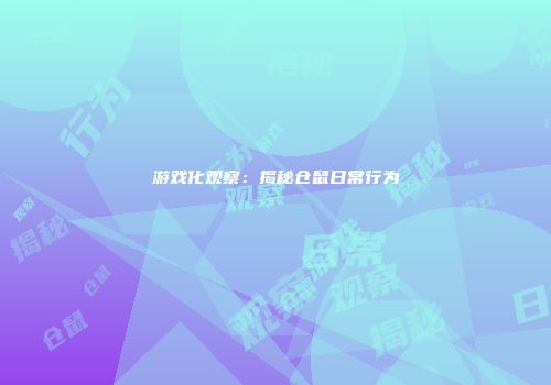 游戏化观察：揭秘仓鼠日常行为