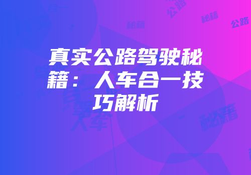 真实公路驾驶秘籍:人车合一技巧解析