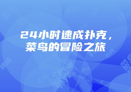 24小时速成扑克，菜鸟的冒险之旅